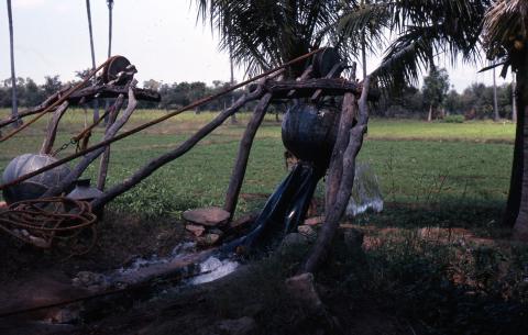 Photo of the Kamalai (traditional) well in the field