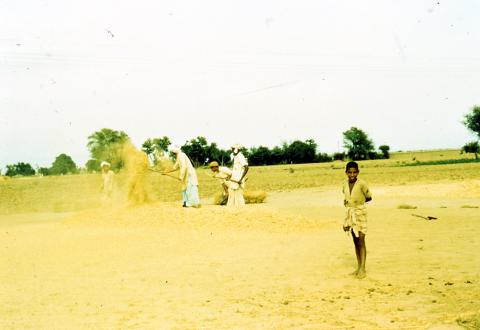 Photo of men working on the field