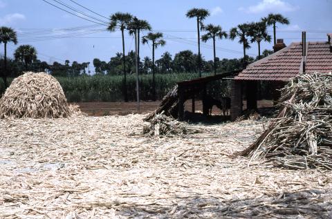 Photo of sugarcane factory site