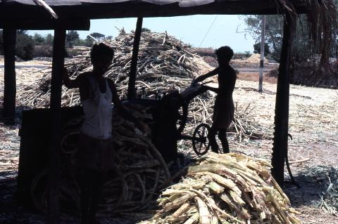Photo of sugarcane factory site