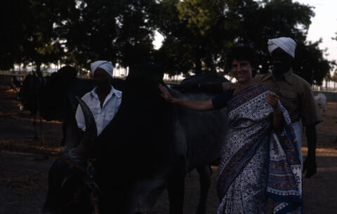 Photo of Brenda Beck and village men beside a bull