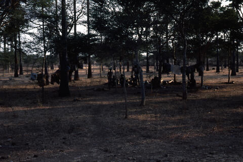 Photo of a group of village men in a rural area