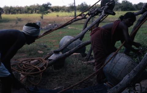Photo of farmers pumping water from a Kamalai (traditional) well