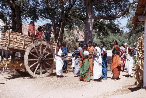 A group of women and children near a cow cart