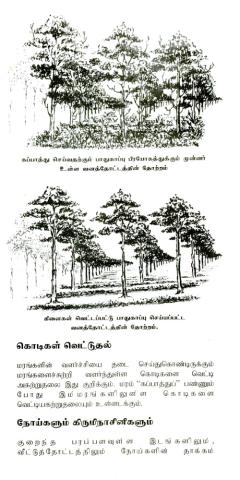 Cariyāṉa muṟaiyil maranaṭukaiyum, parāmarippum page 9
